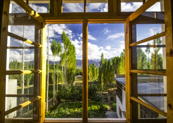Cost of Wood Window Replacement in Freehold